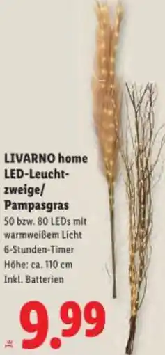 Lidl Livarno home led-leucht- zweige/ pampasgras Angebot