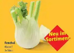 Lidl Fenchel Angebot