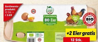 Lidl Bio-Eier Angebot