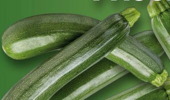 Lidl Zucchini Angebot