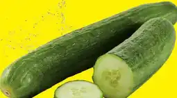 Lidl Bio Gurken Angebot