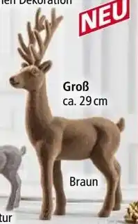 Norma bella casa Deko-Hirsch Angebot