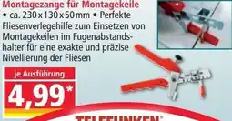 Norma Montagezange für Montagekeile Angebot