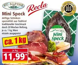 Norma ST. ALPINE Mini Speck Angebot