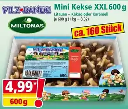 Norma PILZ-BANDE Mini Kekse XXL Angebot