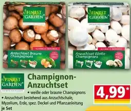 Norma Champignons Anzuchtset Angebot