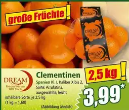 Norma Clementinen Angebot