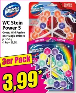 Norma Domestos WC Stein Power 5 Angebot
