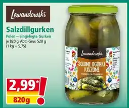 Norma Salzdillgurken Angebot
