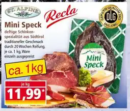 Norma Mini Speck Angebot