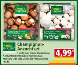 Norma Champignon-Anzuchtset Angebot