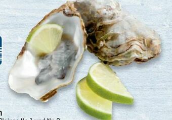 Metro Austern Angebot