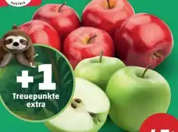 PENNY Da komm' ich her Äpfel Angebot