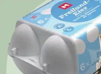 MPreis Freilandeier Angebot