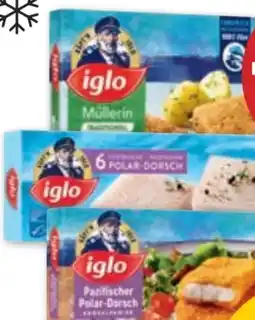 PENNY Iglo Polardorsch Angebot