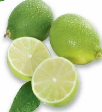 Metro Limetten Angebot