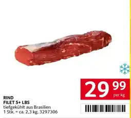 Transgourmet Rind filet 5+ lbs Angebot