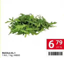 Transgourmet Rucola Angebot