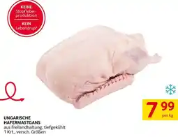 Transgourmet Ungarische hafermastgans Angebot
