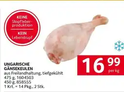 Transgourmet Ungarische gänsekeulen Angebot