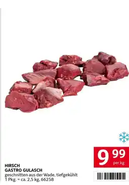 Transgourmet Hirsch gastro gulasch Angebot