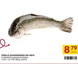 Transgourmet Forelle ausgenommen Angebot