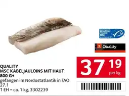 Transgourmet Quality msc kabeljauloins mit haut Angebot