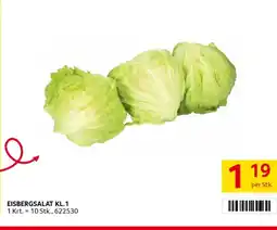 Transgourmet Eisbergsalat Angebot