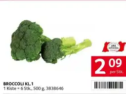 Transgourmet Broccoli Angebot