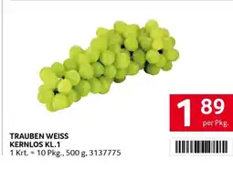 Transgourmet Trauben weiss kernlos Angebot