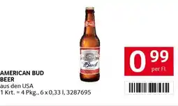 Transgourmet American bud beer Angebot