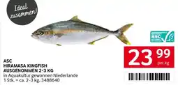 Transgourmet Asc hiramasa kingfish ausgenommen Angebot