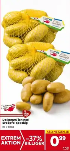 Billa Erdäpfel speckig Angebot