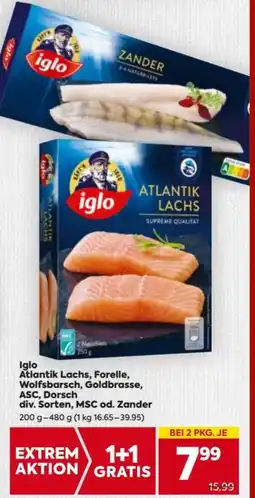 Billa Iglo Atlantik Lachs Forelle Wolfsbarsch Goldbrasse ASC Dorsch Angebot