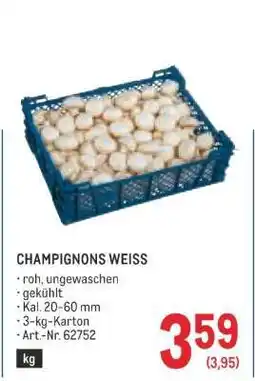 Metro Champignons weiß Angebot