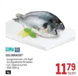 Metro GOLDBRASSE Angebot