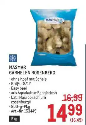 MASMAR GARNELEN ROSENBERG