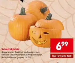 Interspar Schnitzkürbis Angebot