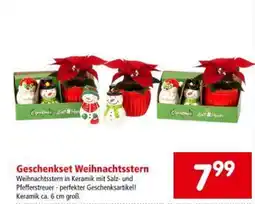 Interspar Geschenkset Weihnachtsstern Angebot