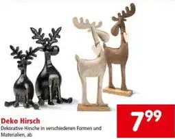 Interspar Deko Hirsch Angebot