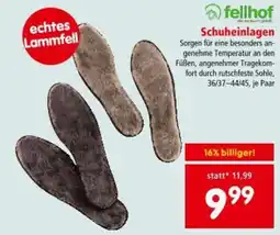 Interspar Schuheinlagen Angebot