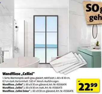 Hagebau Wandfliese Cellini Angebot