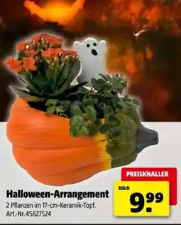 Hagebau Halloween-arrangement Angebot