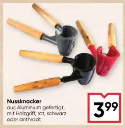 Maximarkt Nussknacker Angebot