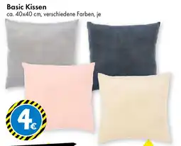 TEDi Basic Kissen Angebot