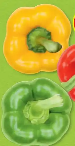 Hofer Hofer Marktplatz Paprika-Mix Angebot
