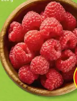 Hofer Hofer Marktplatz Himbeeren Angebot