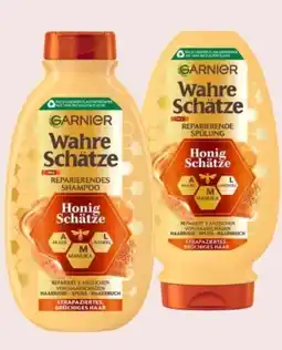 Interspar Garnier Wahre Schätze Shampoo Angebot
