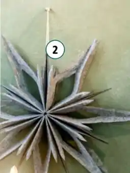 Interspar Filz-Stern Angebot