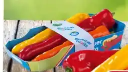 Eurospar Spitzpaprika Mix Bad Blumau Angebot